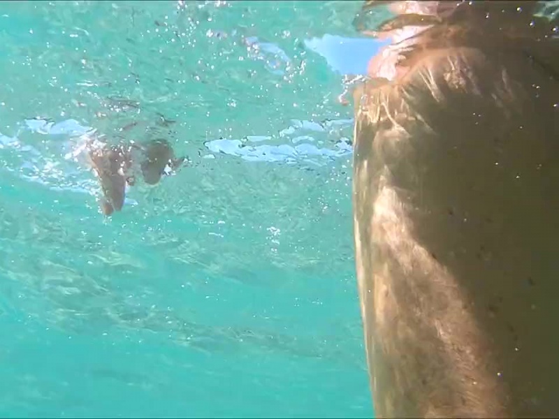 Titten und Muschi unter Wasser