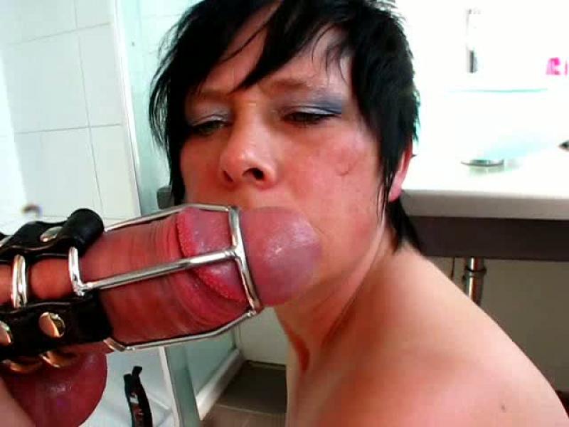 Schwanzaffäre in der Fresse explodiert