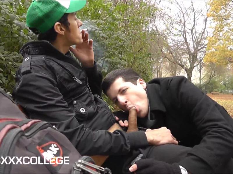 Kumpels wichsen, blasen, pissen im Park