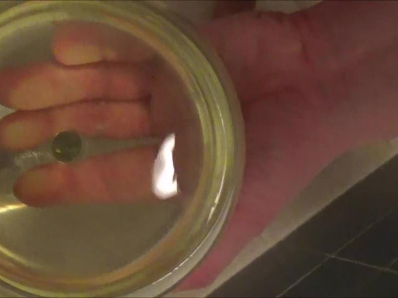 Edle Champagner aus Pussy in der Glas