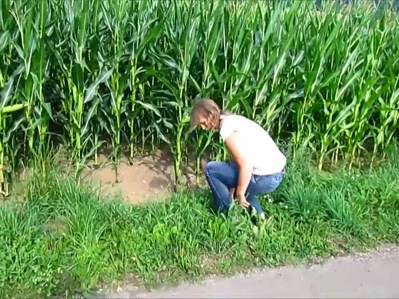 Geilster Spaziergang am Maisfeld